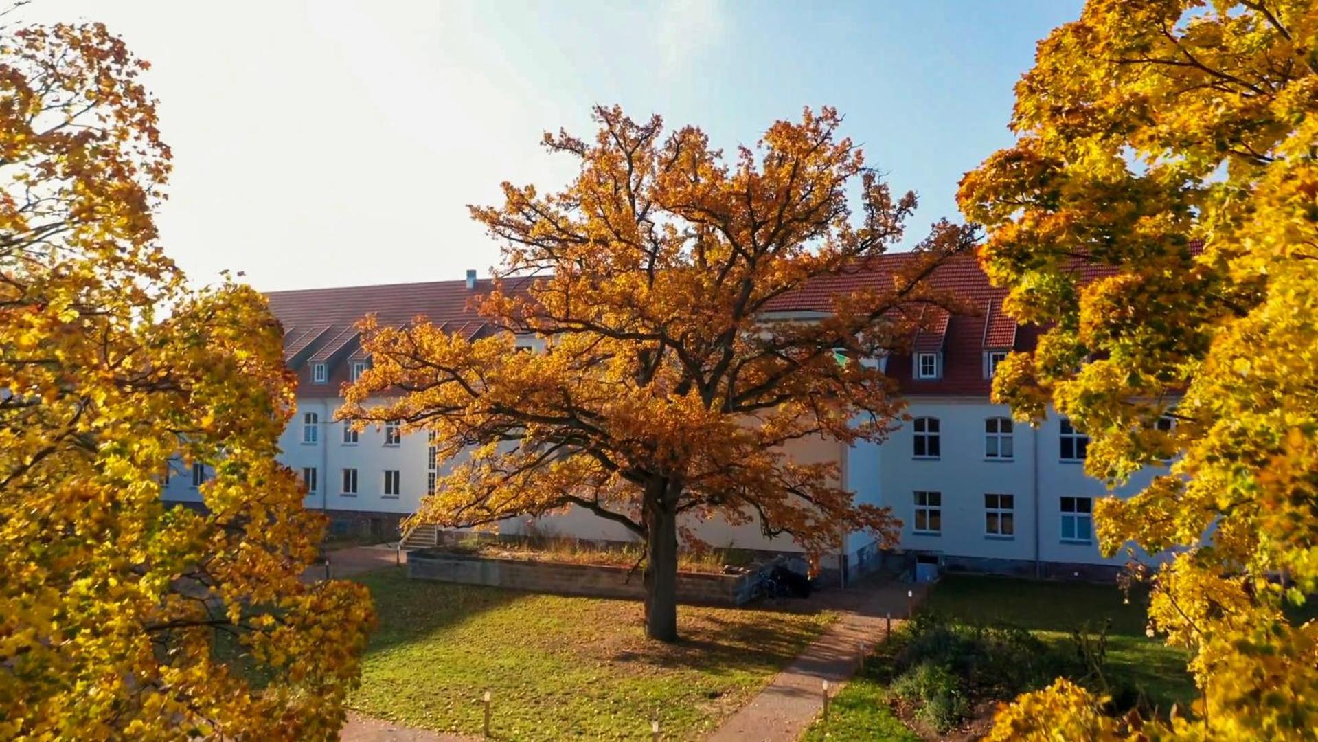 Parkresidenz Lychen, Ferienwohnung 8 Exterior photo